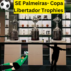SE Palmeiras- The Only Club to Win the Copa Libertadores Twice in the Same Year. History of SE Palmeiras Football Club