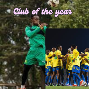 Club of the year. History of Mamelodi Sundowns